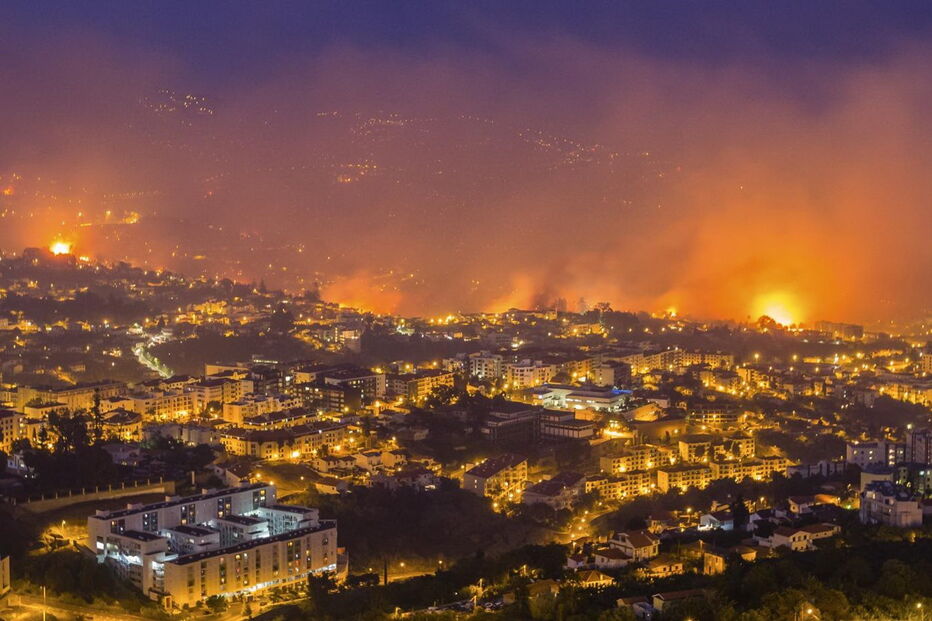 Fogos na Madeira deixaram rasto de destruição