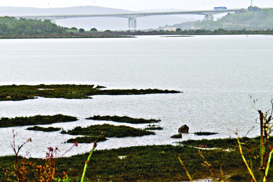 bombeiros, animal, hipotermia, ribeira de Boina, cão, lodo