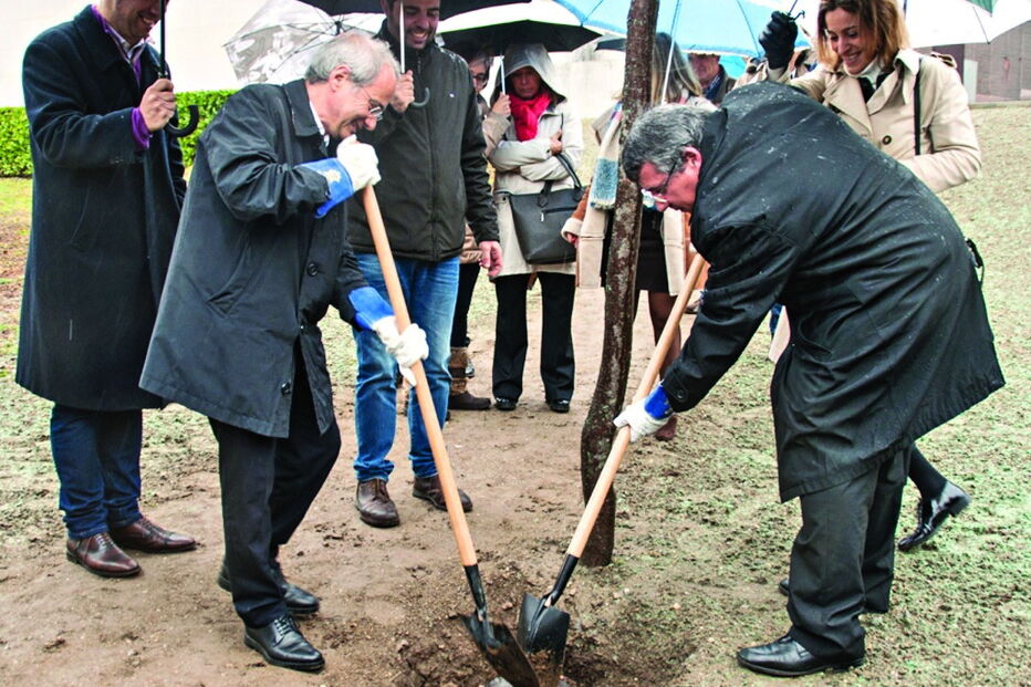 29-01-2017_02_33_42 Imagem braga24a.jpg