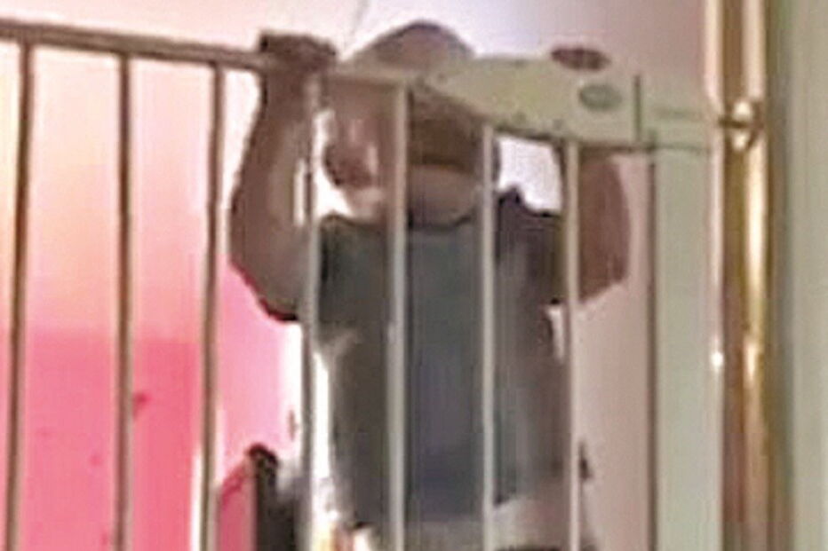 Criança, acrobata, escalada, grades, escada, Leo