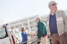 gripe aviária, comércio, algarve, aves, risco humano, 