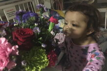 01-02-2017_23_54_58 4.PNG