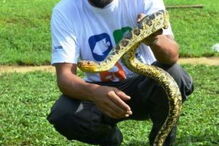 04-02-2017_16_05_44 coba 1.jpg