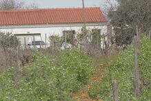 Corpo de Álvaro Paderna, de 84 anos, foi encontrado em casa, na Guia