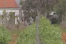 Corpo de Álvaro Paderna, de 84 anos, foi encontrado em casa, na Guia