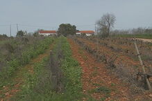  Corpo de Álvaro Paderna, de 84 anos, foi encontrado em casa, na Guia