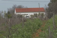  Corpo de Álvaro Paderna, de 84 anos, foi encontrado em casa, na Guia
