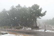 Neve na Serra de São Mamede