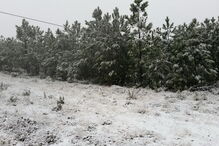 Neve na Serra de São Mamede