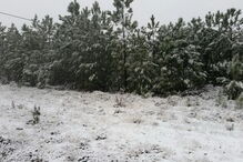 Neve na Serra de São Mamede