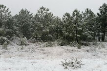 Neve na Serra de São Mamede