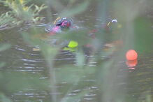 15-02-2017_18_34_11 00FE12B9.jpg