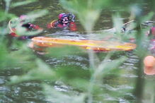 Mergulhadores em operação no local