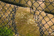 20-02-2017_09_49_23 Imagem y.jpg