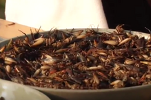 Angelina Jolie, Brad Pitt, divórcio, atriz, Camboja, filhos, escorpiões, tarântulas, grilos