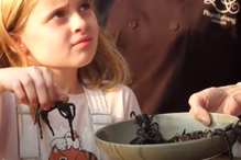 Angelina Jolie, Brad Pitt, divórcio, atriz, Camboja, filhos, escorpiões, tarântulas, grilos