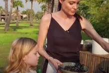 Angelina Jolie, Brad Pitt, divórcio, atriz, Camboja, filhos, escorpiões, tarântulas, grilos
