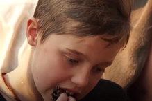 Angelina Jolie, Brad Pitt, divórcio, atriz, Camboja, filhos, escorpiões, tarântulas, grilos