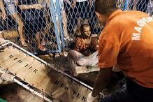 Carro alegórico esmaga 20 jornalistas e foliões