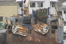 Engenho detetado nas redes de pesca de uma embarcação da Nazaré