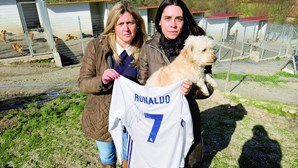 Ronaldo solidário dá camisola a canil