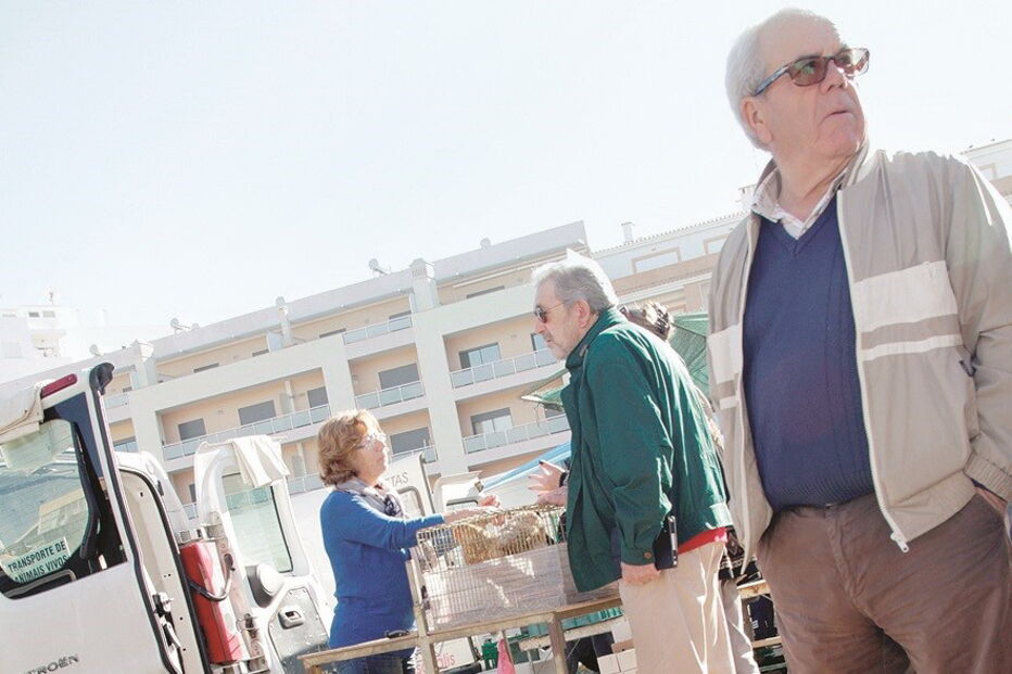 gripe aviária, comércio, algarve, aves, risco humano, 
