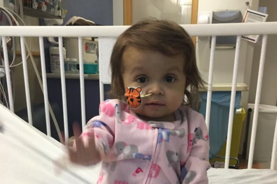 01-02-2017_23_54_56 1.PNG