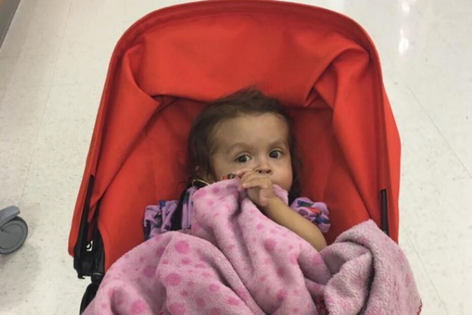 01-02-2017_23_54_56 2.PNG