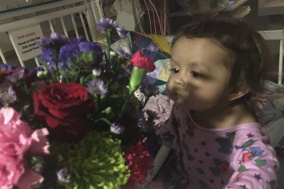 01-02-2017_23_54_58 4.PNG