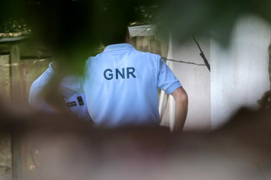 GNR, Guarda Nacional Republicana, operação, detidos, crime, lei e justiça, polícia