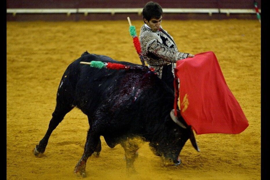 Lisboa, Campo Pequeno, Hélder Milheiro, José da Câmara, Matilde Cid, Grupo de Cantares de Ourique, Corpo de Alma, Jennifer Ajuriaguerra, Equus Film Festival