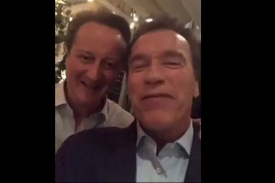 David Cameron, Arnold Schwarzenegger, Donald Trump