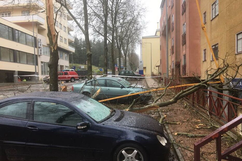 Queda de grua na Guarda faz três feridos
