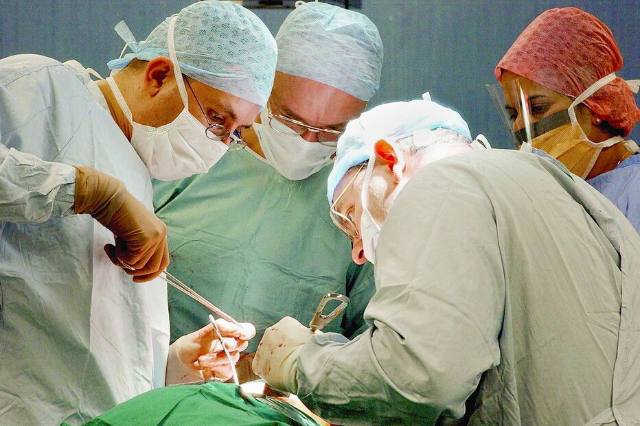 orgãos, transplantes, pacientes, doentes, saúde, utentes, rim saudável, 