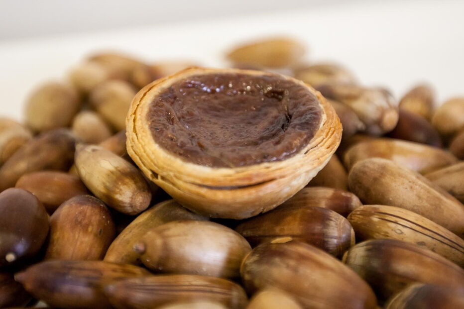 bolotas, Alentejo, pastel de nata, sabores, sobreiros, azinheiras, Rui Coelho
