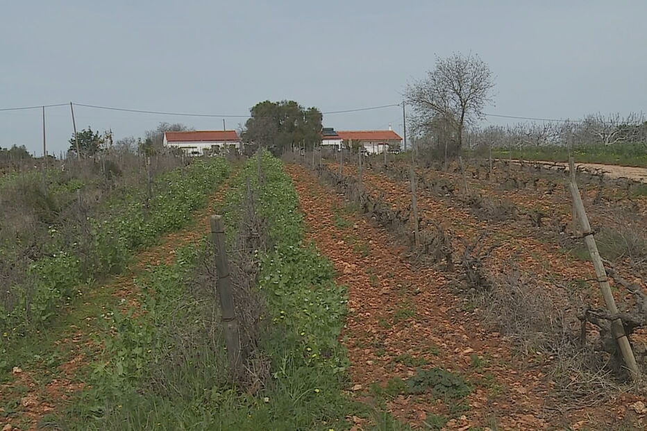  Corpo de Álvaro Paderna, de 84 anos, foi encontrado em casa, na Guia