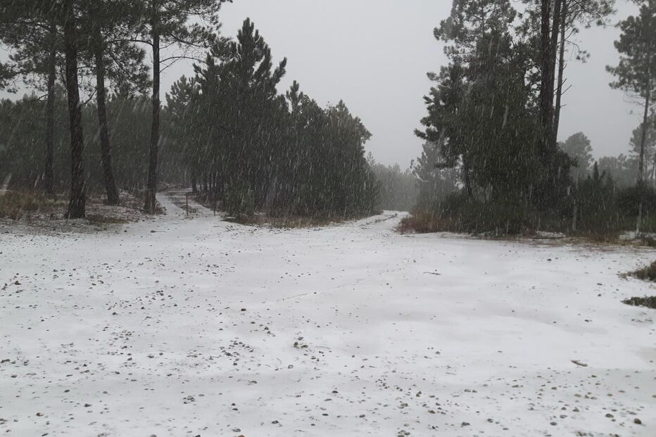 Neve na Serra de São Mamede