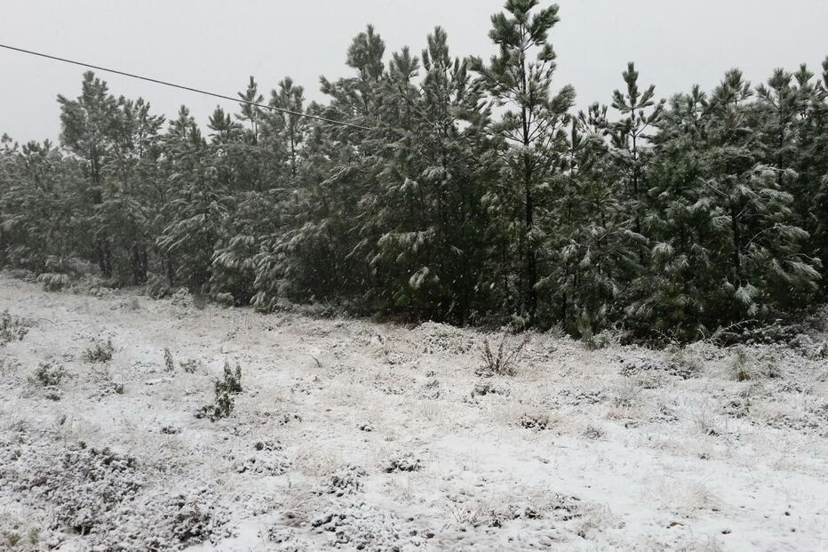 Neve na Serra de São Mamede