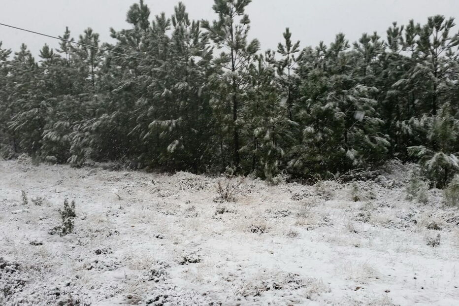 Neve na Serra de São Mamede