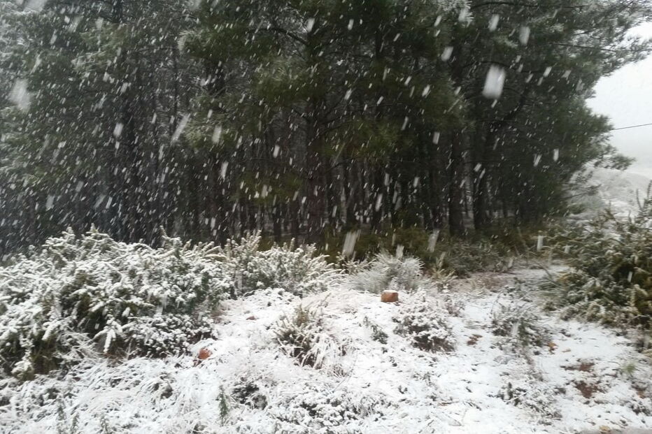 Neve na Serra de São Mamede