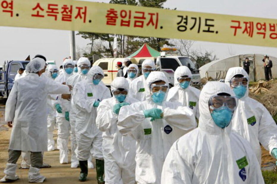 Coreia do Sul, Ministério da Agricultura da Coreia do Sul, Seul, saúde, interesse humano, animais, doenças