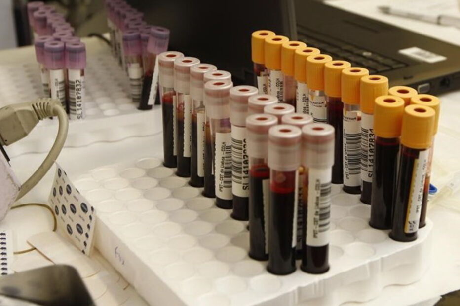 Conselho de Fiscalização da Base de Dados de Perfis de ADN, Instituto Nacional de Medicina Legal e Ciências Forenses, Conselho de Fiscalização, crime, lei e justiça, leis, ciência e tecnologia, polícia, questões sociais