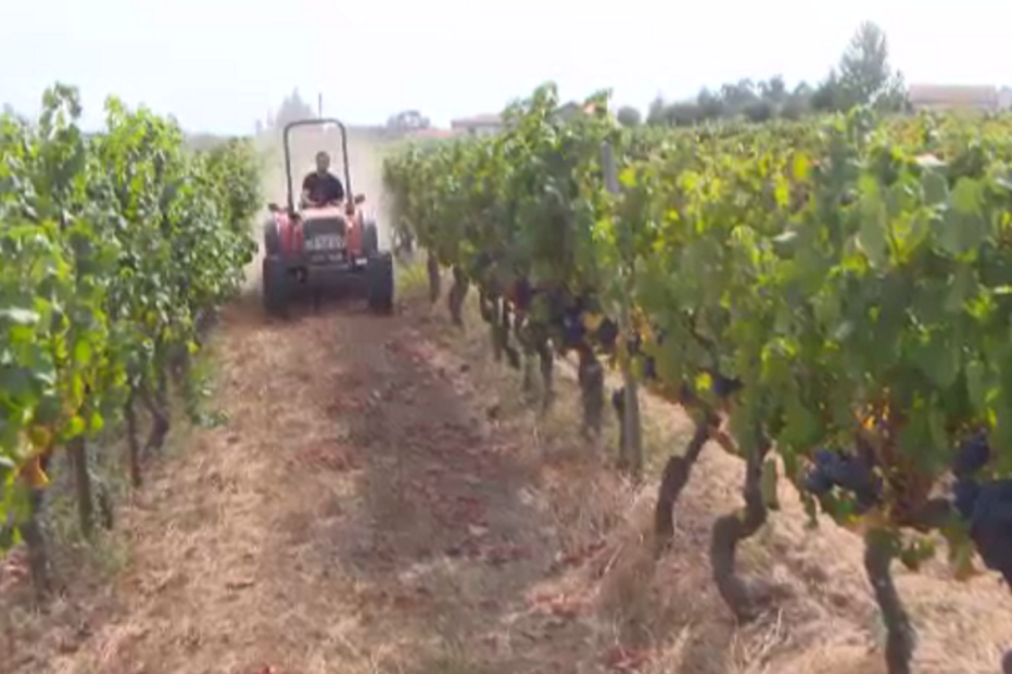 Ribeiro de Baixo, Castro Laboreiro, Melgaço, Comando Distrital de Operações, Socorro, Viana do Castelo, Autoridade Nacional de Proteção Civil, Instituto Nacional de Emergência Médica, questões sociais, acidentes e desastres, política, autoridades locais, acidentes de transporte, acidente rodoviário