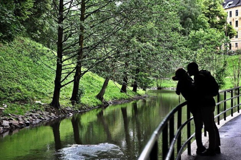 Sara Matos mostra paixão com Pedro Teixeira