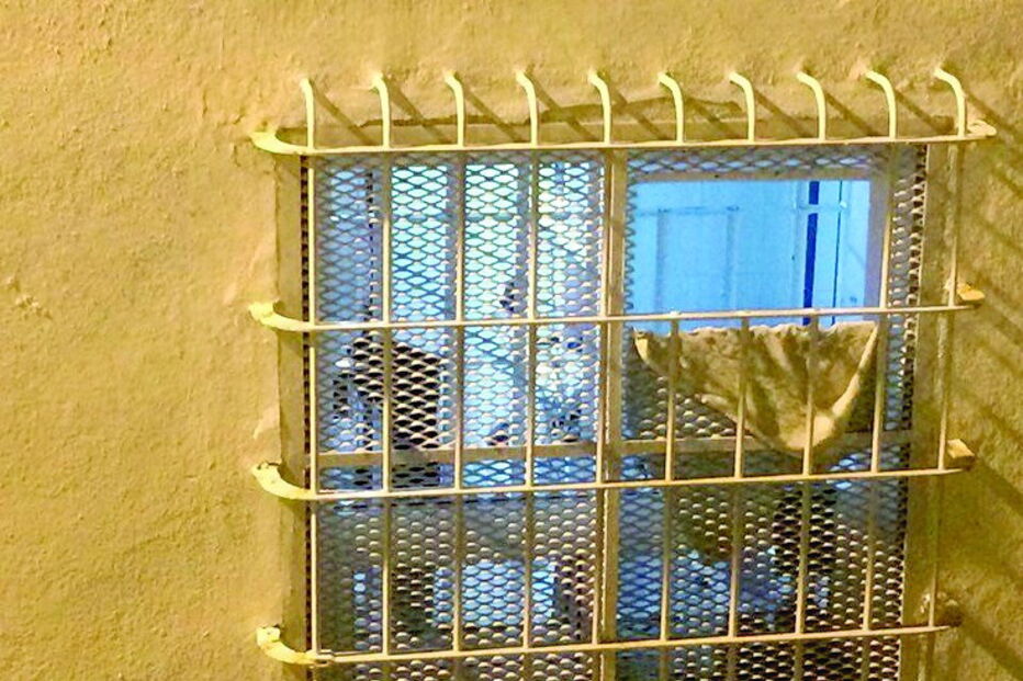 20-02-2017_09_49_20 Imagem x.jpg