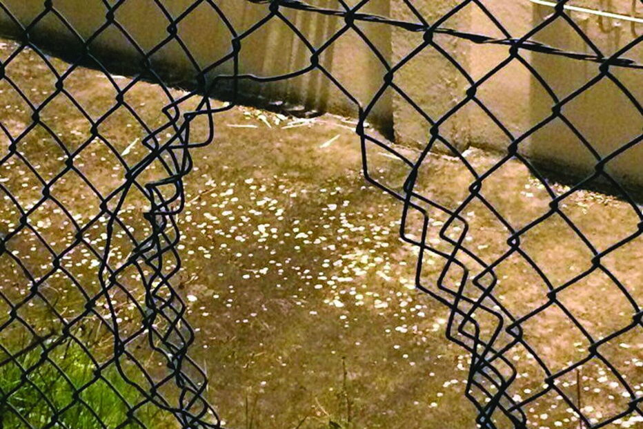 20-02-2017_09_49_23 Imagem y.jpg