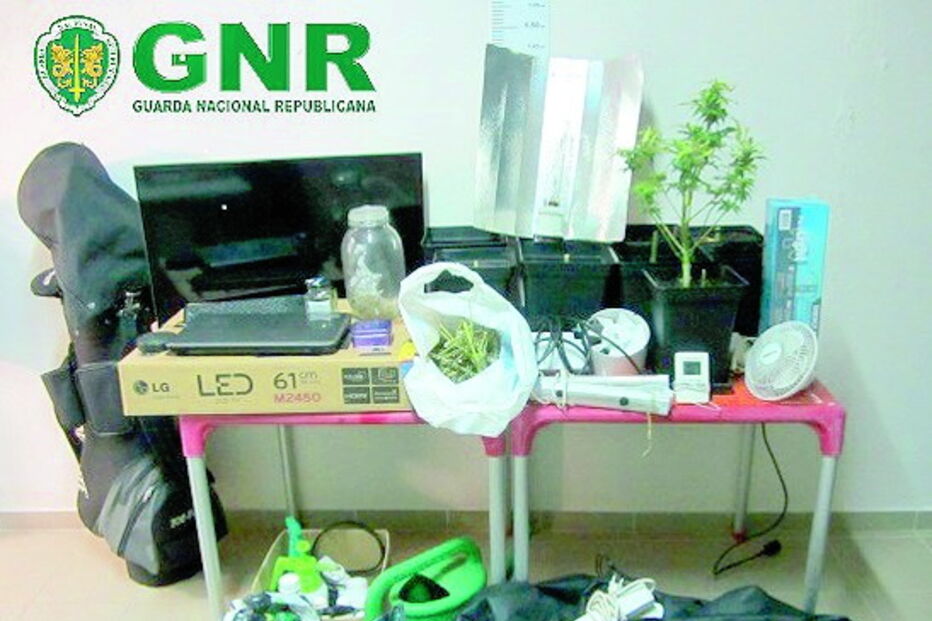 Material apreendido na operação