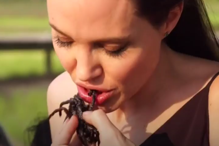 Angelina Jolie, Brad Pitt, divórcio, atriz, Camboja, filhos, escorpiões, tarântulas, grilos