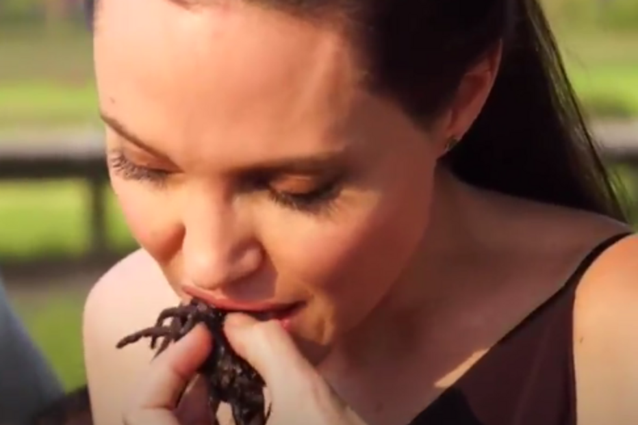 Angelina Jolie, Brad Pitt, divórcio, atriz, Camboja, filhos, escorpiões, tarântulas, grilos