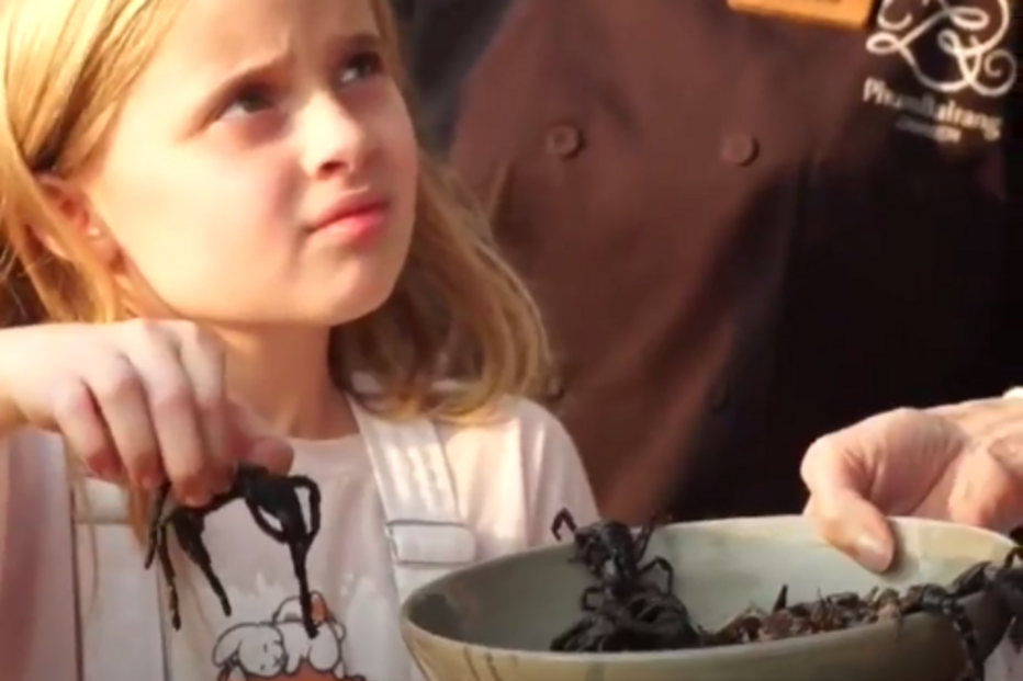 Angelina Jolie, Brad Pitt, divórcio, atriz, Camboja, filhos, escorpiões, tarântulas, grilos